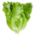 1 Kg